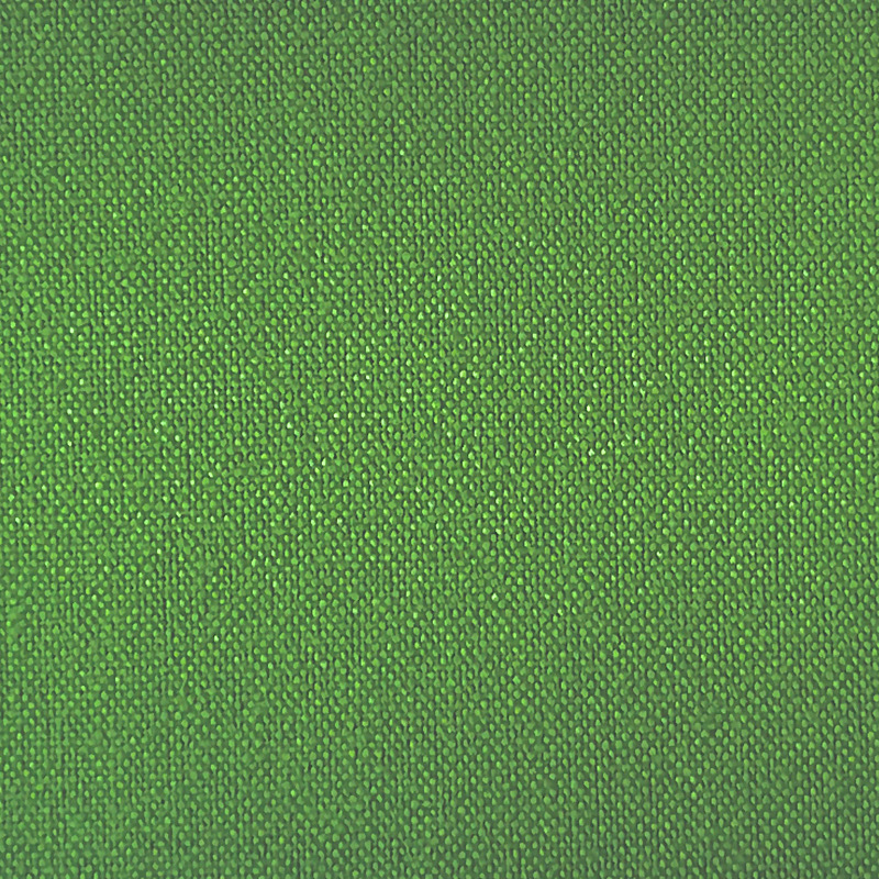 11号帆布・アップルグリーン